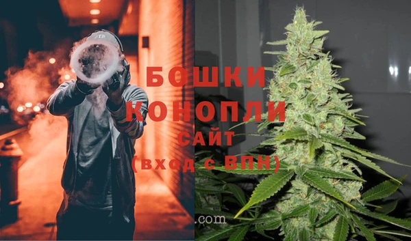 индика Богданович